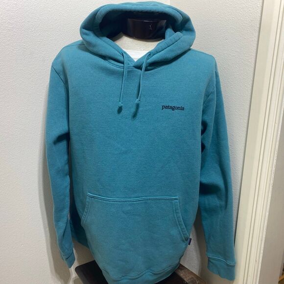 Hooded Sweatshirt Patagonia Fitz Roy Horizons Uprisal Hoodie
